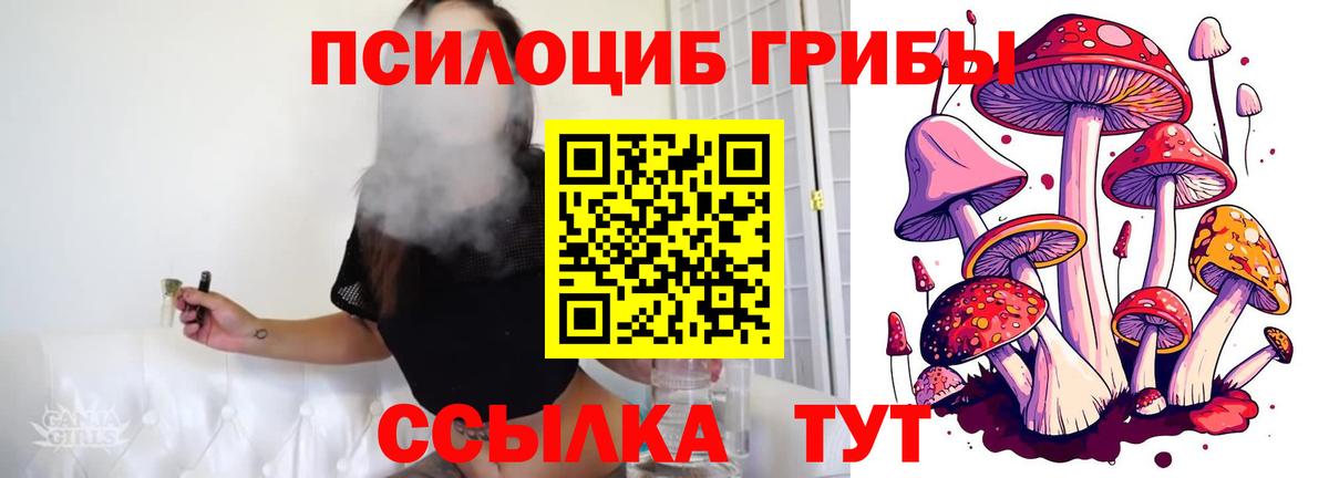 Галлюциногенные грибы Cubensis Унеча